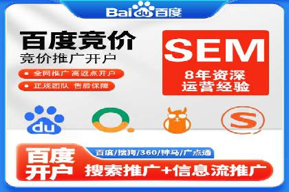 某电商平台的SEM投放全流程案例